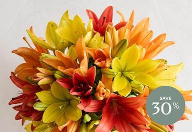 Header navigation sub menu